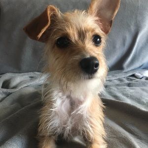 Meet your Posher, Gabriela